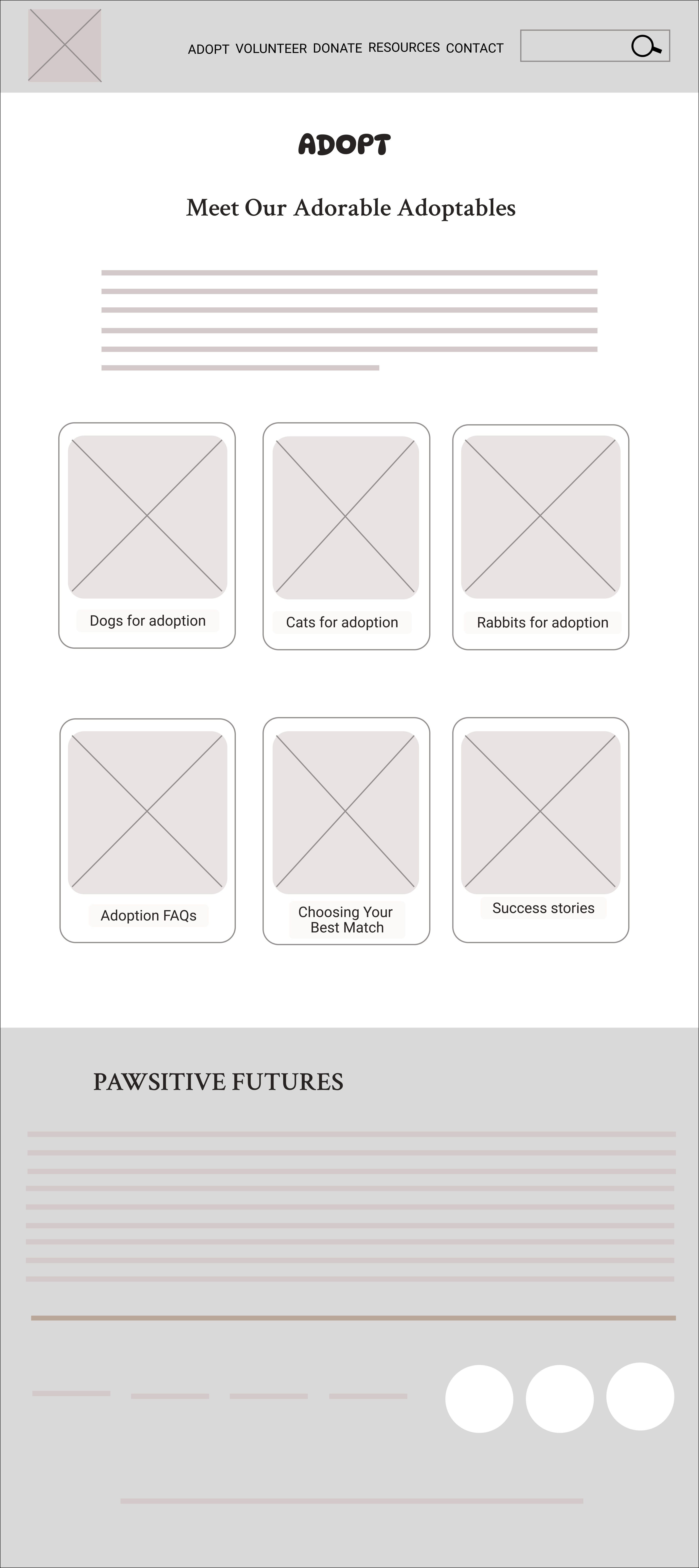 Original Adopt low-fidelity wireframe at desktop width