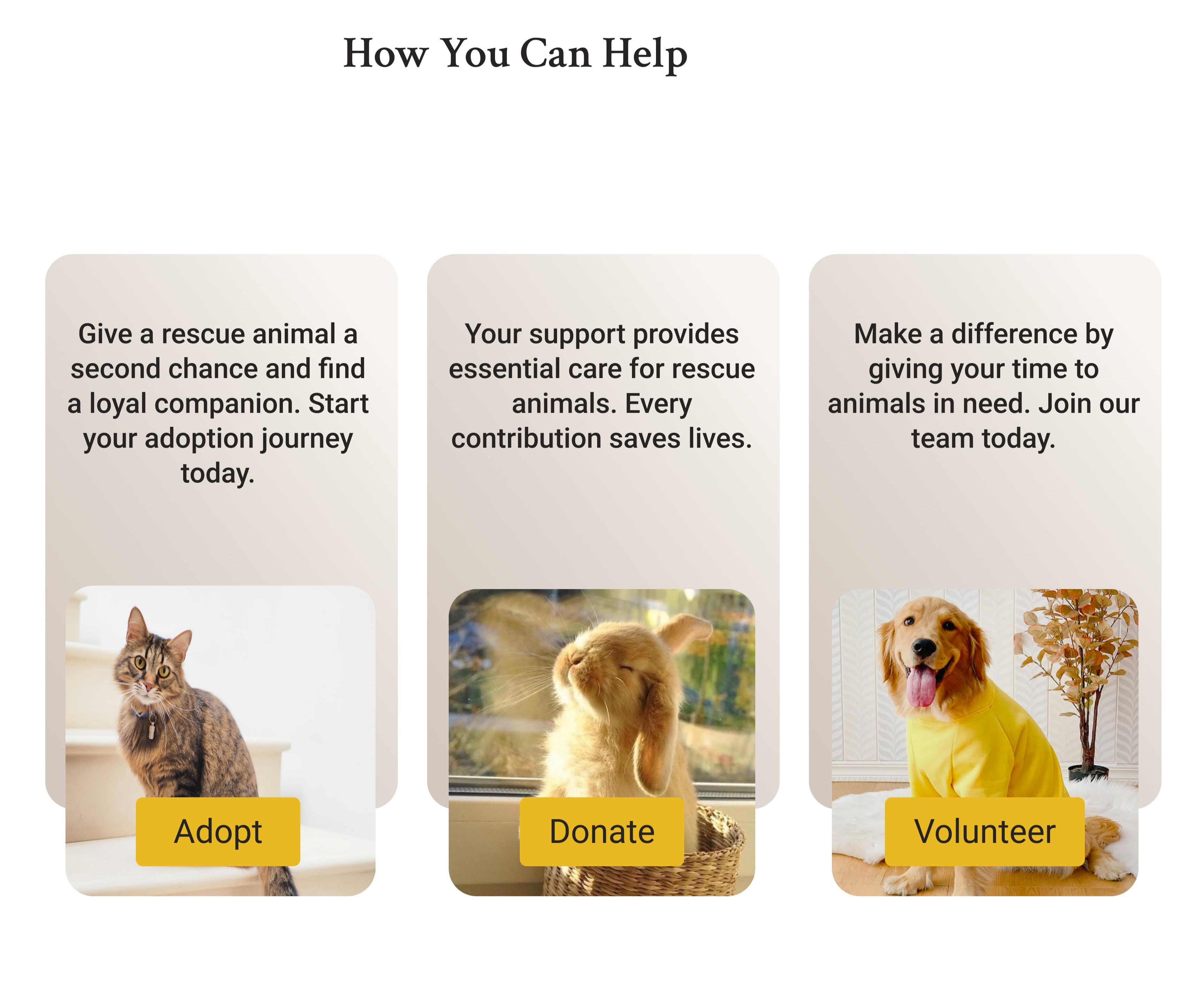 Original How You Can Help actions