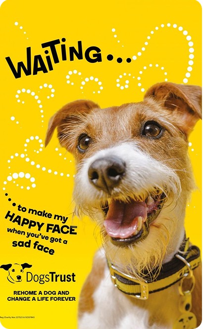 Original yellow-background dog reference with a playful dotted trail, cropped from the style tile