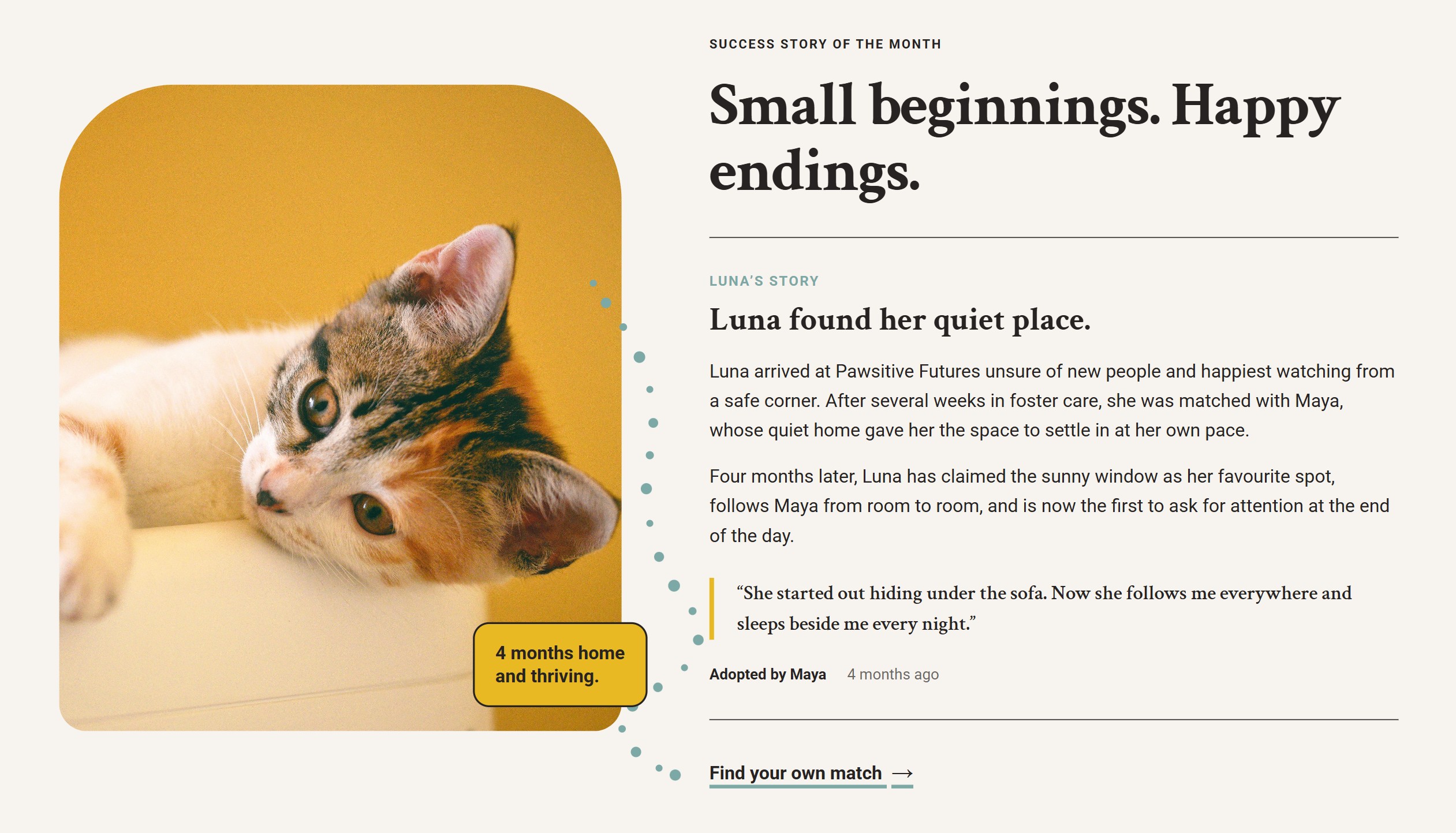 Refined Luna success story with photography and story content